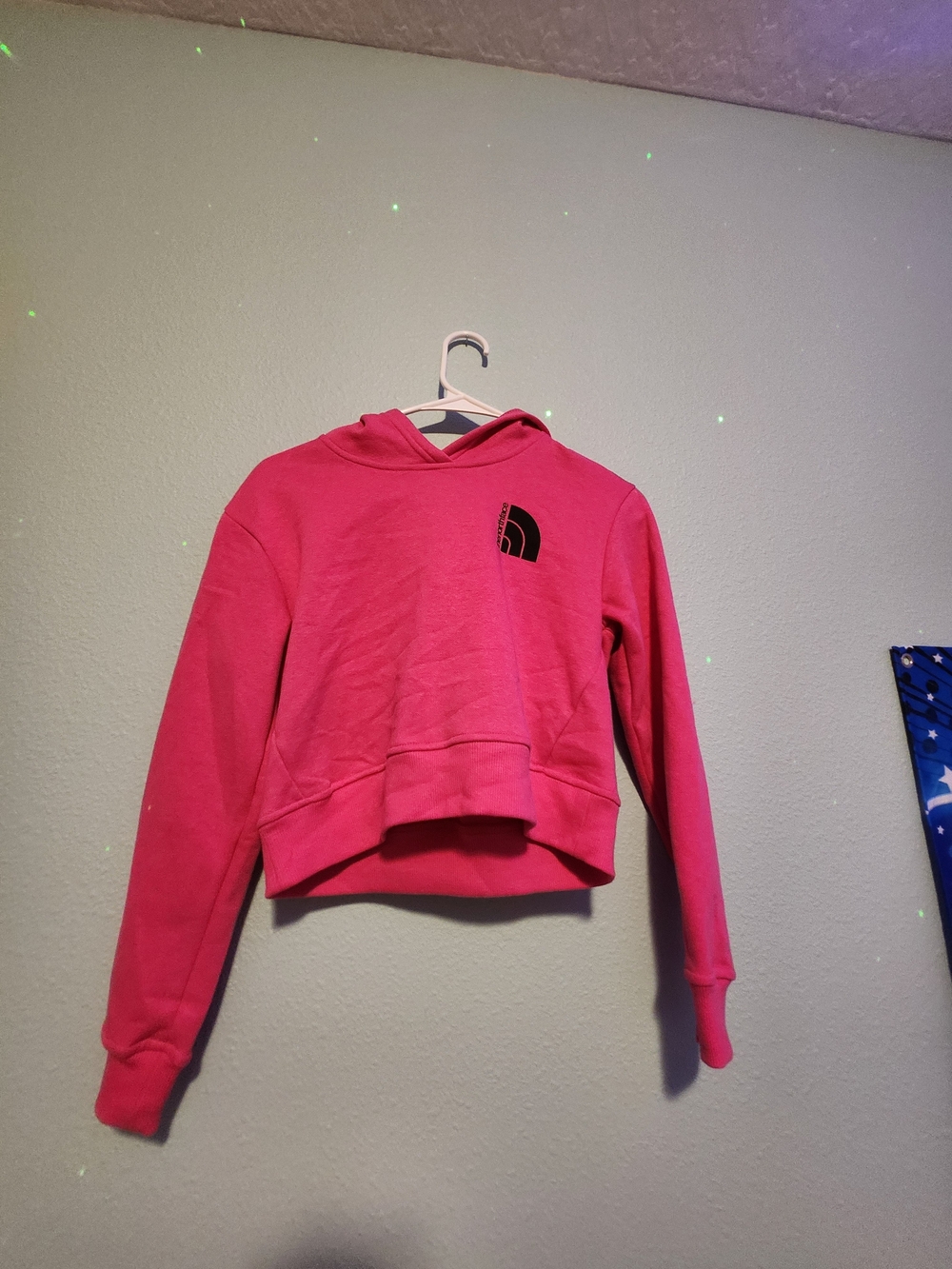 The North Face Girls' Mr. Pink Cropped Hoodie BRAND NEW